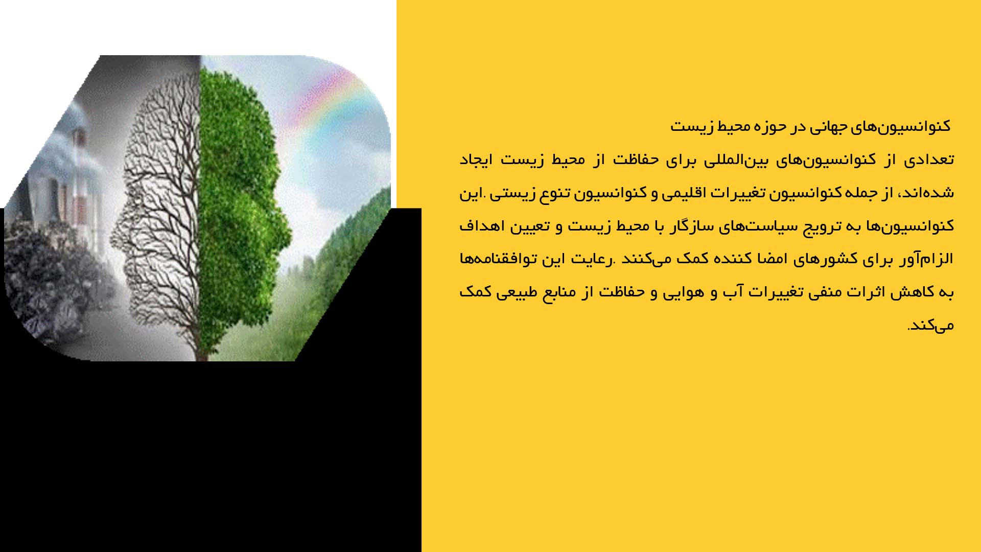 پاورپوینت در مورد اقدامات بین‌المللی در راستای حفظ محیط زیست